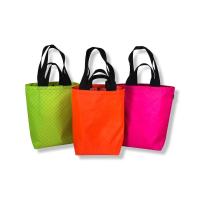 Rover EPX Grocery Tote